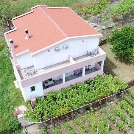Vrzina Farm House Skadar Lake 비르파자르 외부 사진