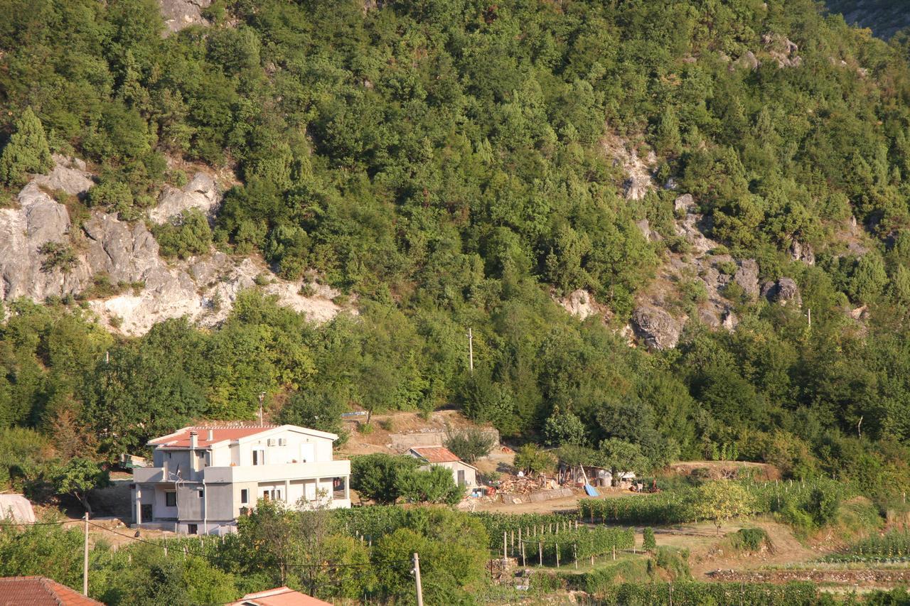 Vrzina Farm House Skadar Lake 비르파자르 외부 사진