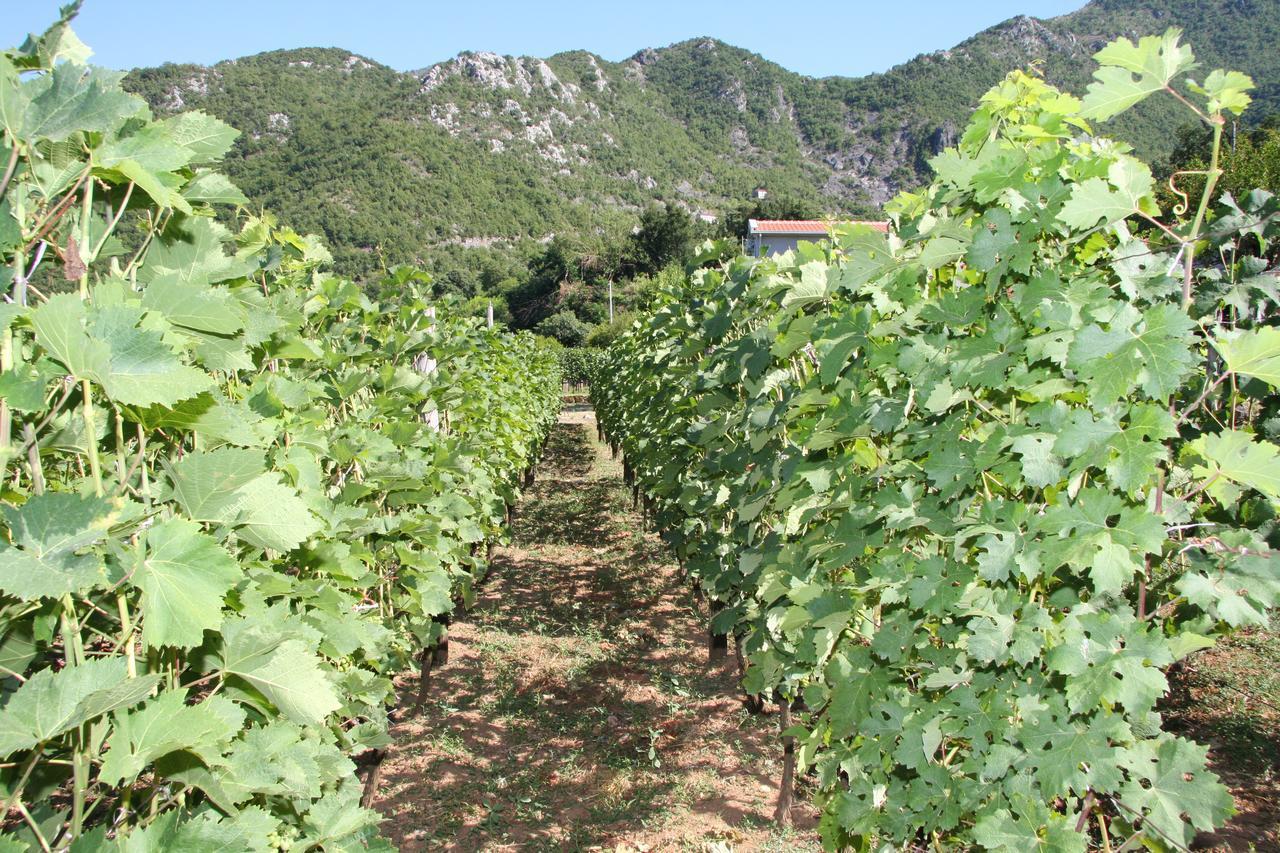 Vrzina Farm House Skadar Lake 비르파자르 외부 사진