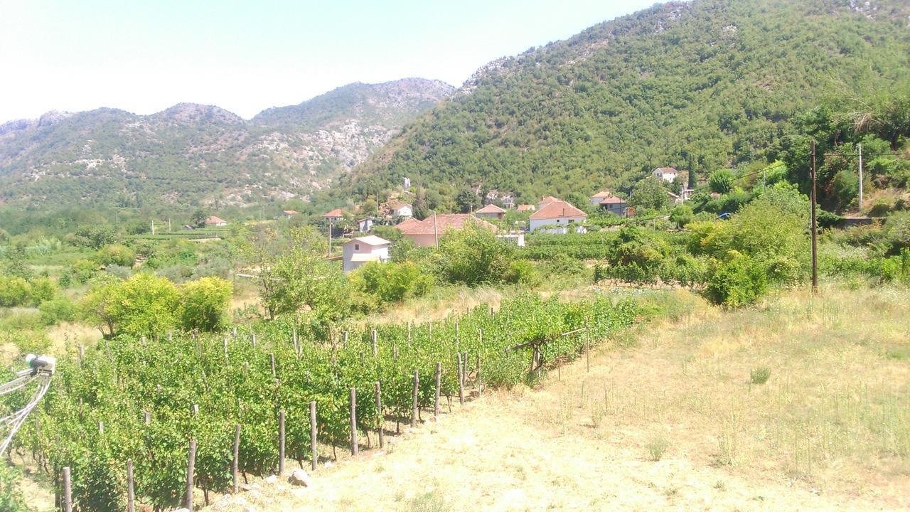Vrzina Farm House Skadar Lake 비르파자르 외부 사진