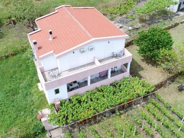 Vrzina Farm House Skadar Lake 비르파자르 외부 사진